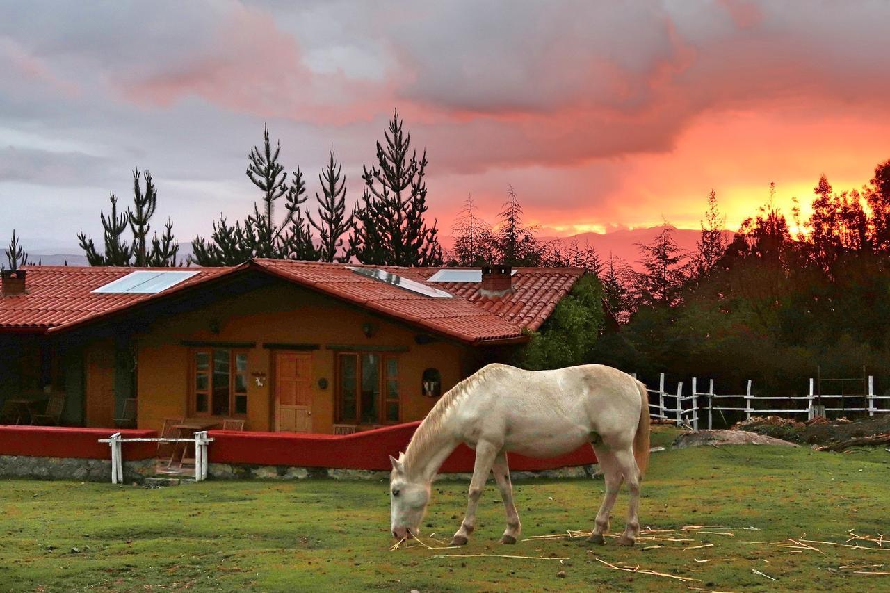 חוארז The Lazy Dog Inn A Mountain Lodge מראה חיצוני תמונה