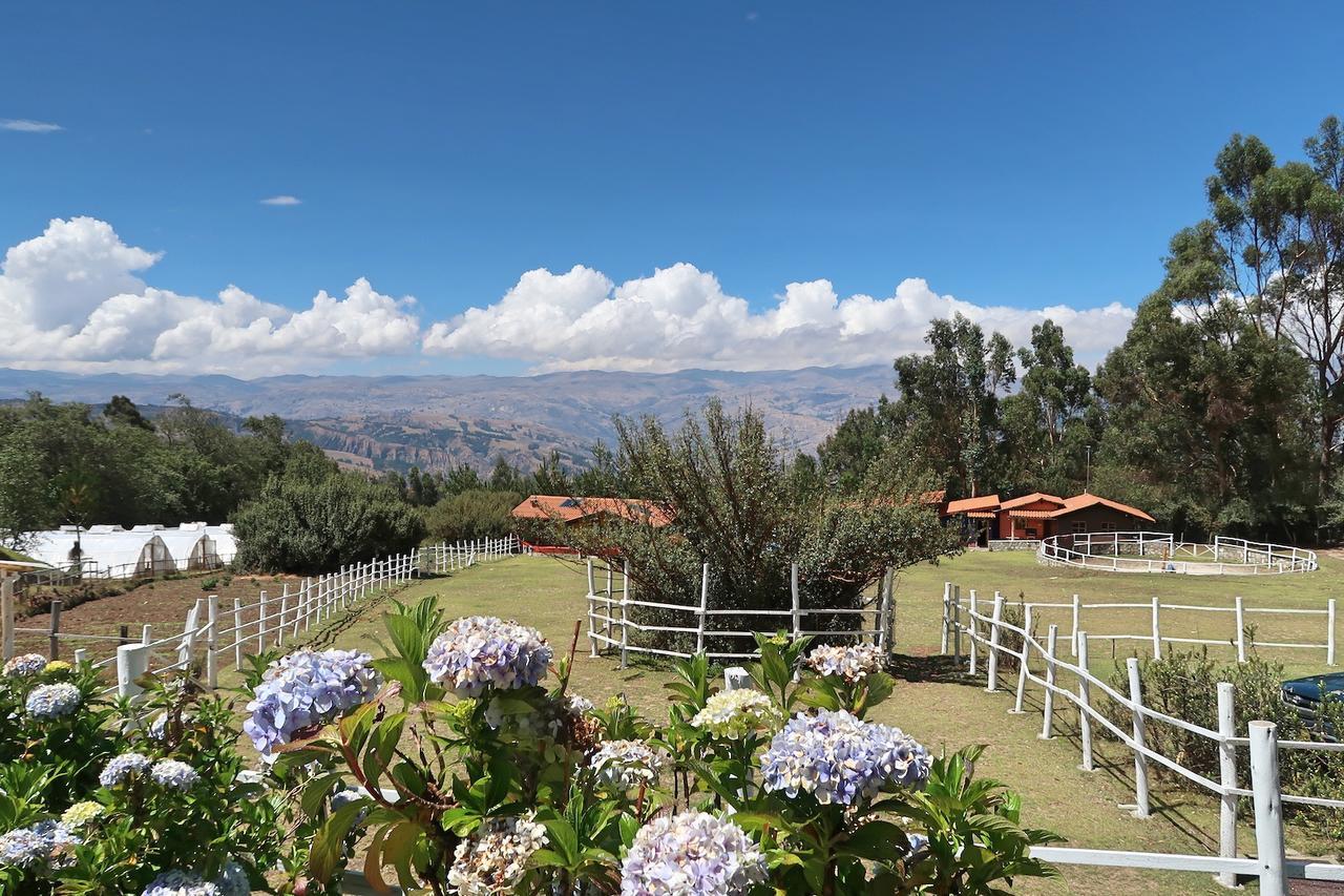 חוארז The Lazy Dog Inn A Mountain Lodge מראה חיצוני תמונה