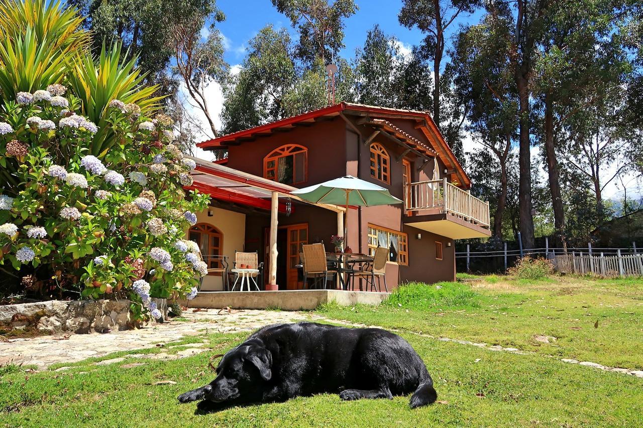 חוארז The Lazy Dog Inn A Mountain Lodge מראה חיצוני תמונה